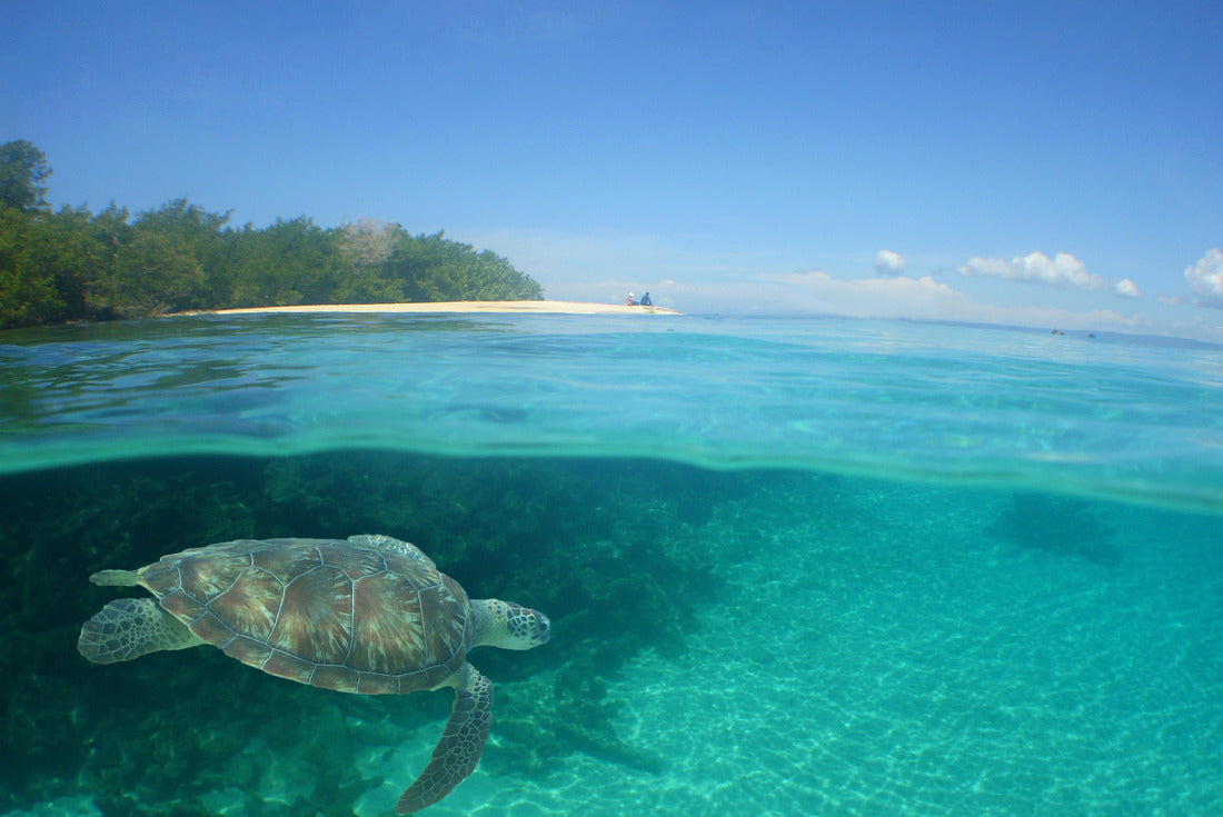 underwater scene , caribbean sea , Venezuela 2000pc Puzzle