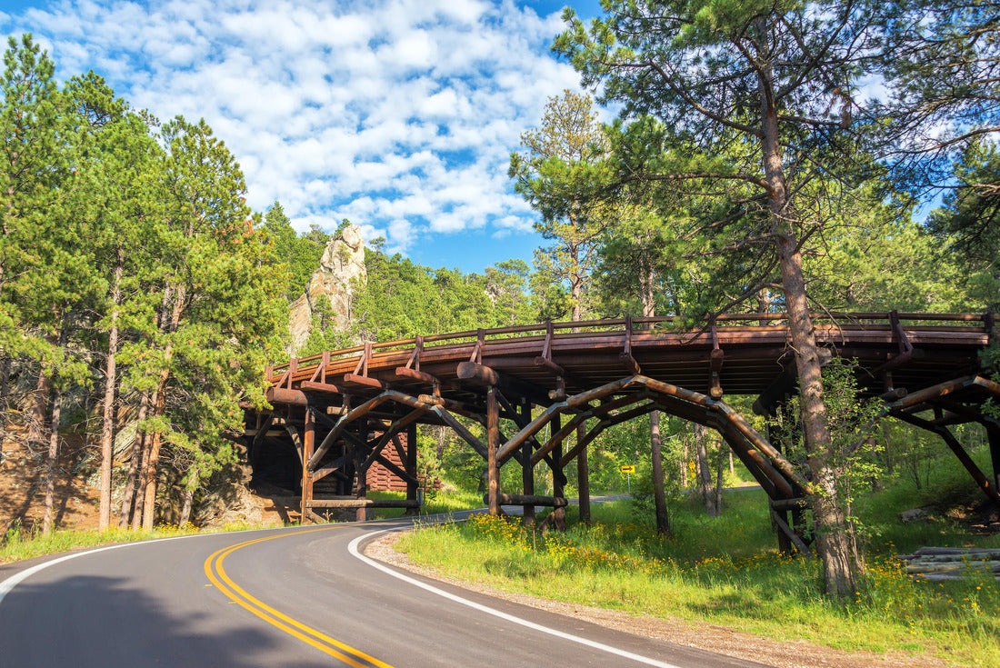 Noah Jigsaw Puzzle Bridge in Custer State Park in South Dakota 2000 pieces