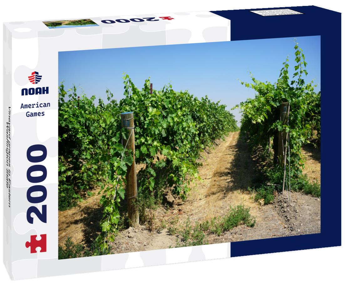Vineyard grapes in Eastern Washington State 2000pc Puzzle