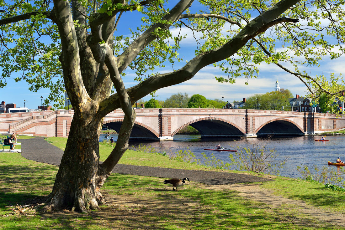 Anderson Bridge in Cambridge, Massachusetts 2000pc Puzzle