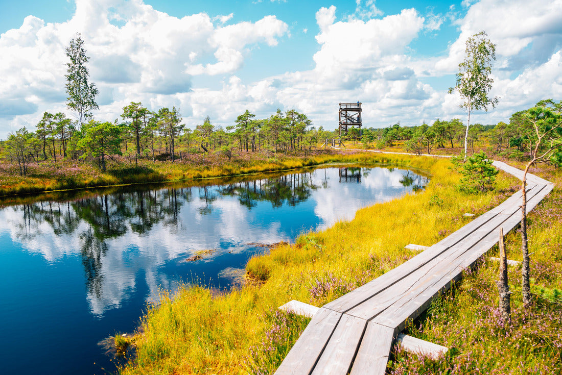 Noah Jigsaw Puzzle Bog trail in Kemeri National Park in Latvia 2000 pieces