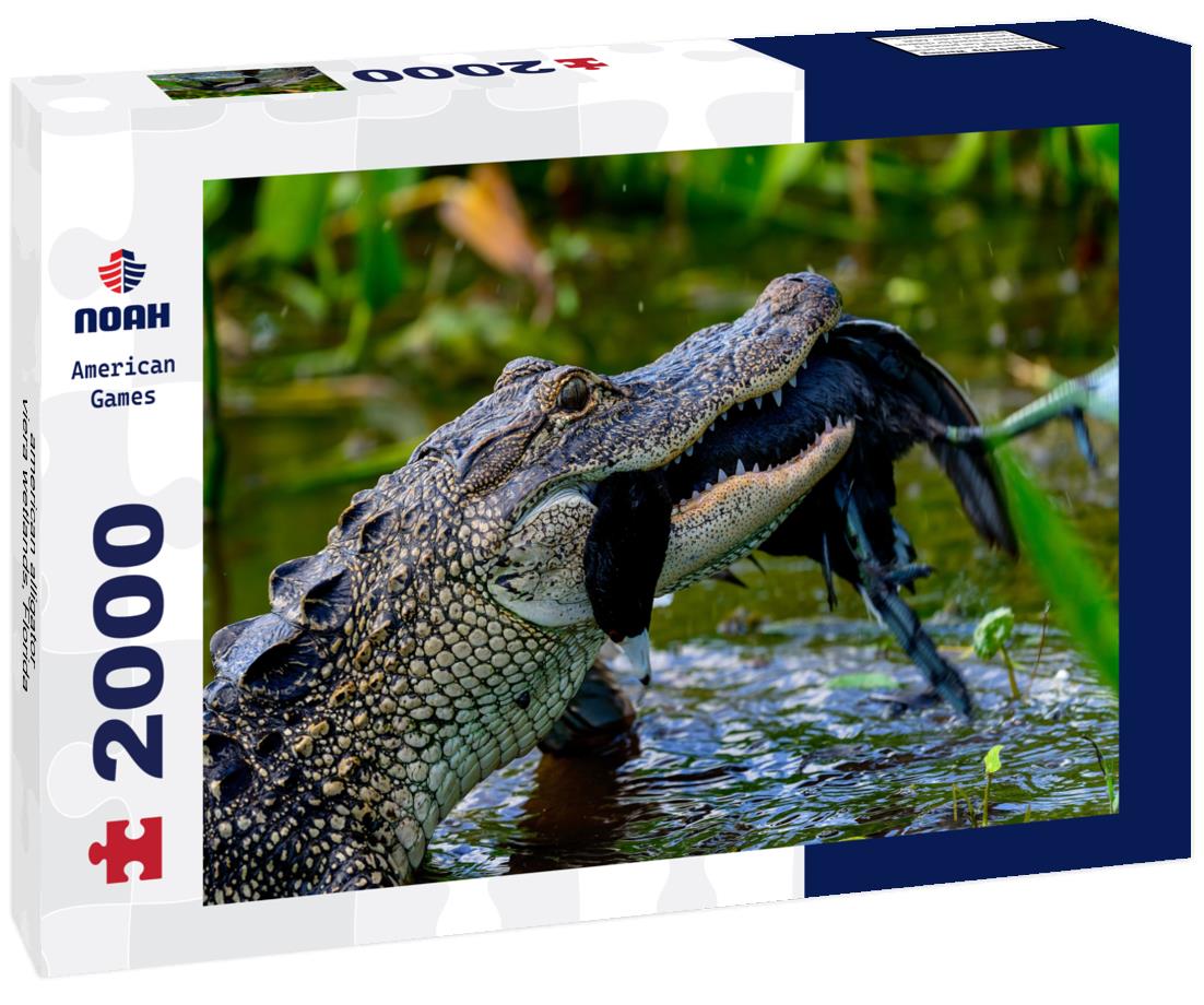 american alligator, viera wetlands, Florida 2000pc Puzzle