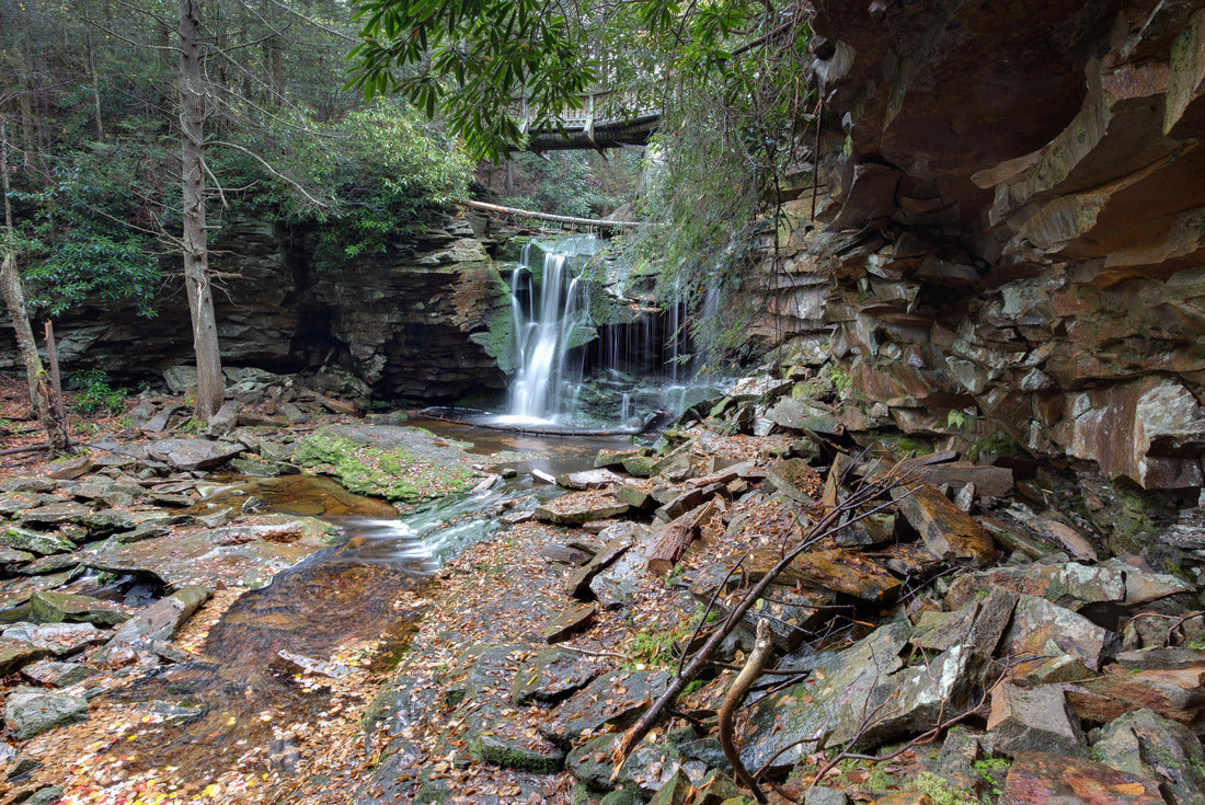 Noah Jigsaw Puzzle Blackwater waterfall cascade, West Virginia 2000 pieces