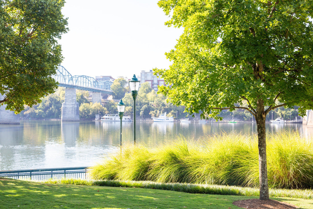 Noah Jigsaw Puzzle Walnut Street Bridge Chattanooga Tennessee 2000 pieces