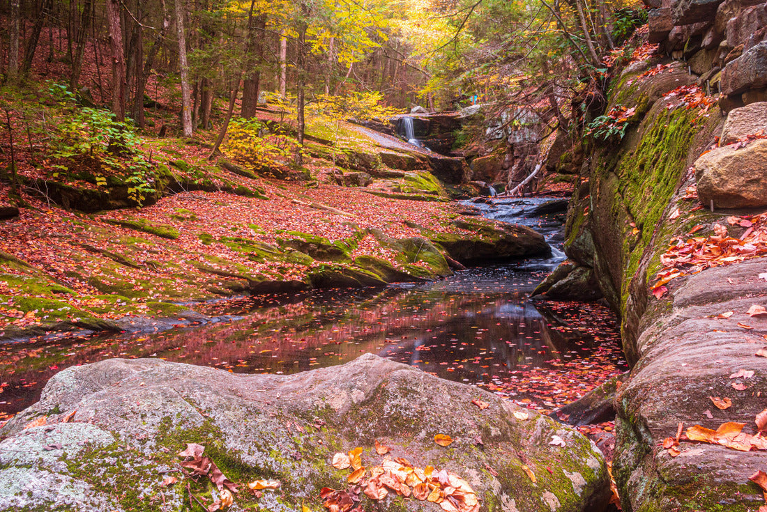 Enders Falls on an autumn day, Connecticut 2000pc Puzzle