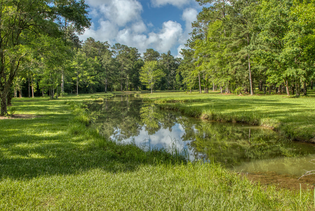 Landscape from the Deep South of Louisiana 2000pc Puzzle