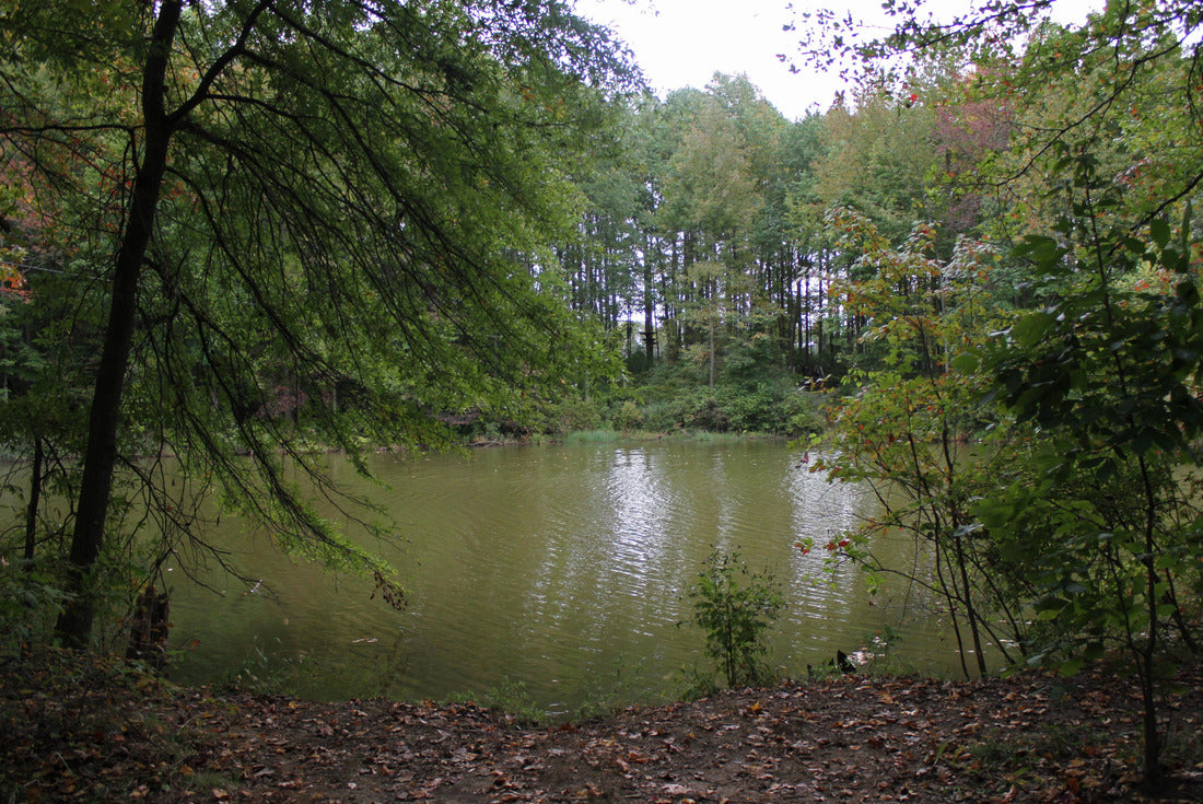 A nice walk in Lums Pond at Bear, Delaware 2000pc Puzzle