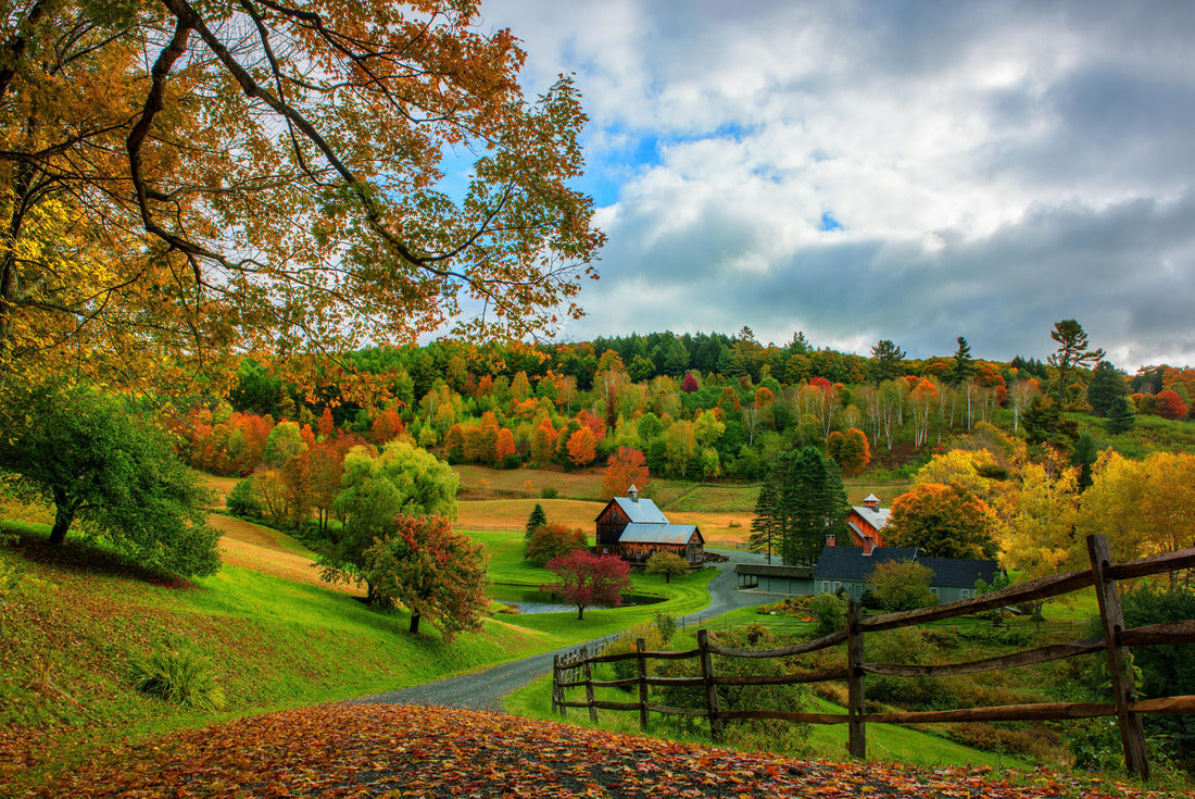 The Colors of Fall_Sleepy Hollow, Vermont 2000pc Puzzle