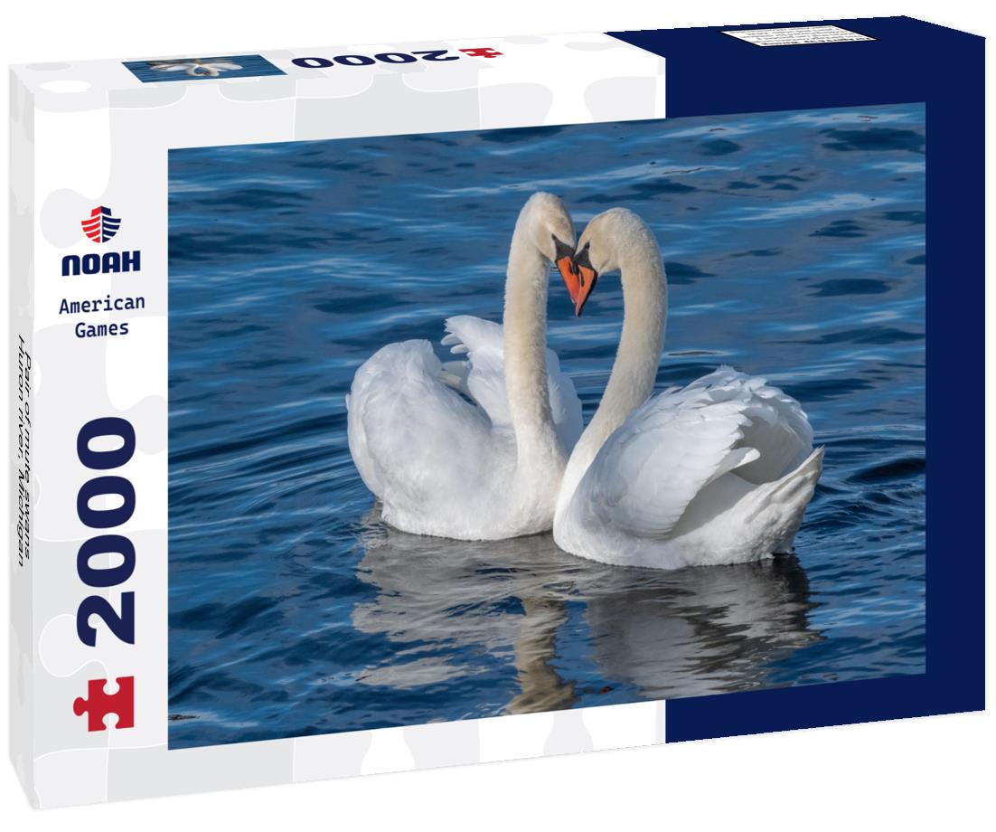 Pair of mute swans, Huron river, Michigan 2000pc Puzzle