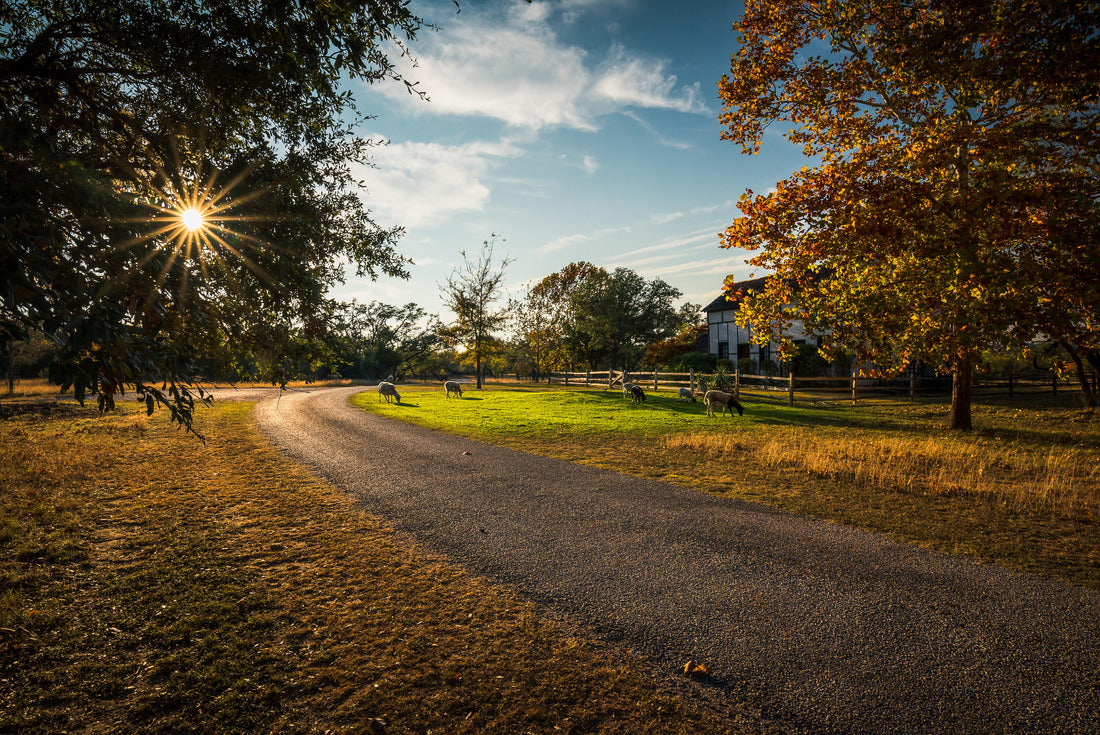 Fredericksburg farm road in autumn, Texas 2000pc Puzzle