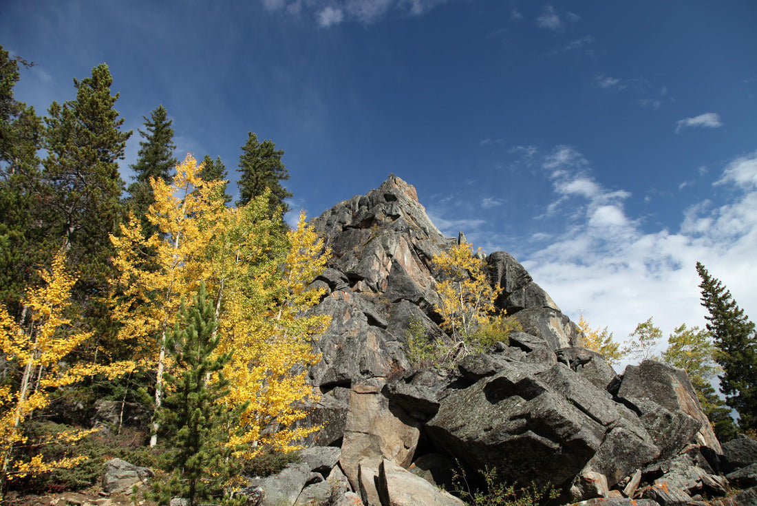 Fall colors in Bighorn Mountains, Wyoming 2000pc Puzzle