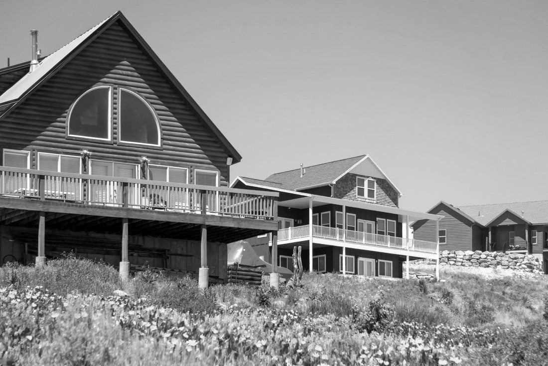 Noah Jigsaw Puzzle Bear Lake Cabin in Garden City with natural flowers and greenery in black white 2000 pieces