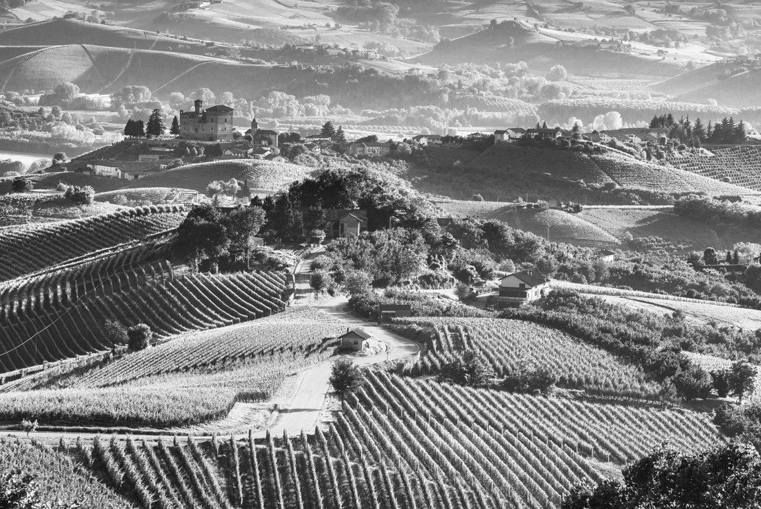 Noah Jigsaw Puzzle Langhe vineyards sunset panorama, Grinzane Cavour, Unesco site, Piedmont, northern Italy in black white 2000 pieces