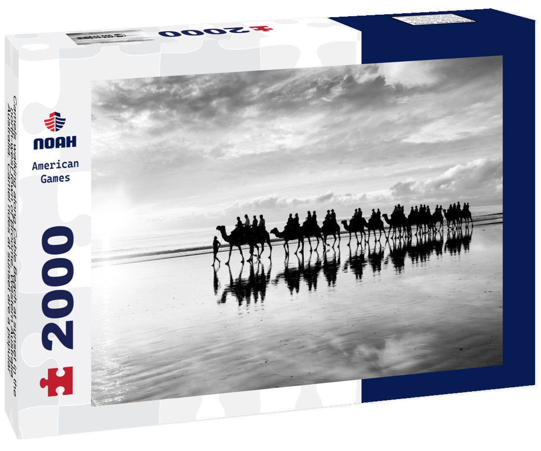 Camels walking along Cable Beach at sunset in the north-west town of Broome, Western Australia, Australia. Camel rides at sunset are a popular tourist activity in Broome 2000pc PuzzleBlack and White