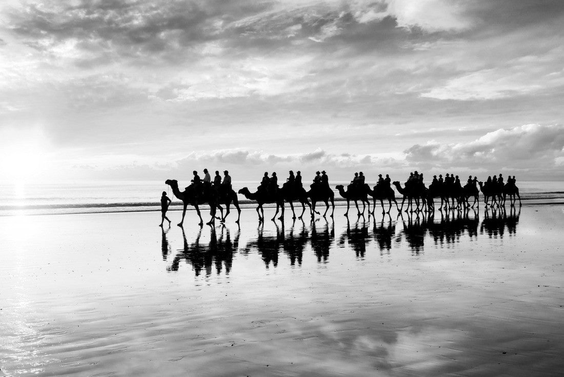 Camels walking along Cable Beach at sunset in the north-west town of Broome, Western Australia, Australia. Camel rides at sunset are a popular tourist activity in Broome 2000pc PuzzleBlack and White