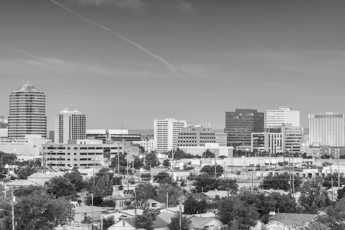 Albuquerque, New Mexico, USA downtown cityscape at twilight 2000pc PuzzleBlack and White