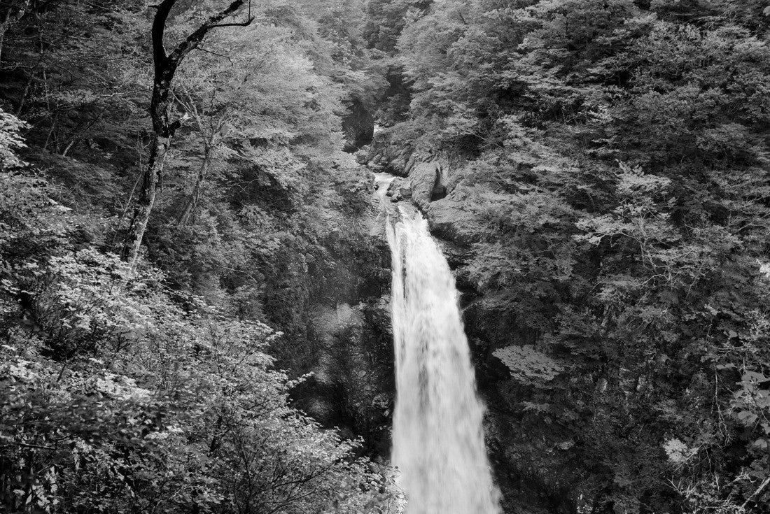 Noah Jigsaw Puzzle Famous Akiu Waterfall in Akiu Osen with vibrant red autumn forest, Sendai - Japan in black white 2000 pieces