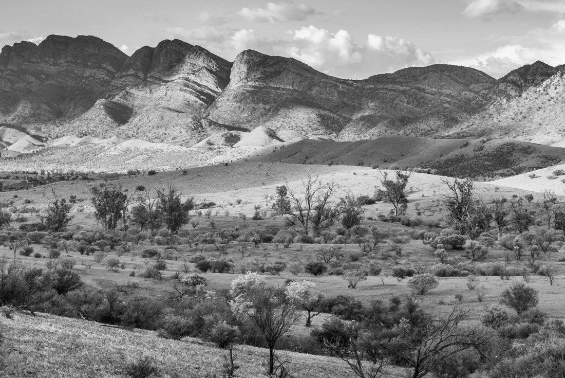 Beautiful Flinders Ranges in South Australia 2000pc PuzzleBlack and White