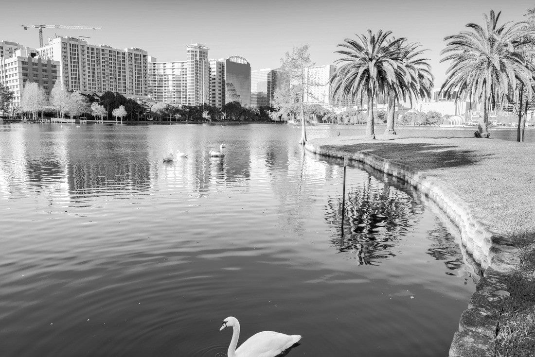 Noah Jigsaw Puzzle Orlando. Located in Lake Eola Park, Orlando, Florida, USA in black white 2000 pieces