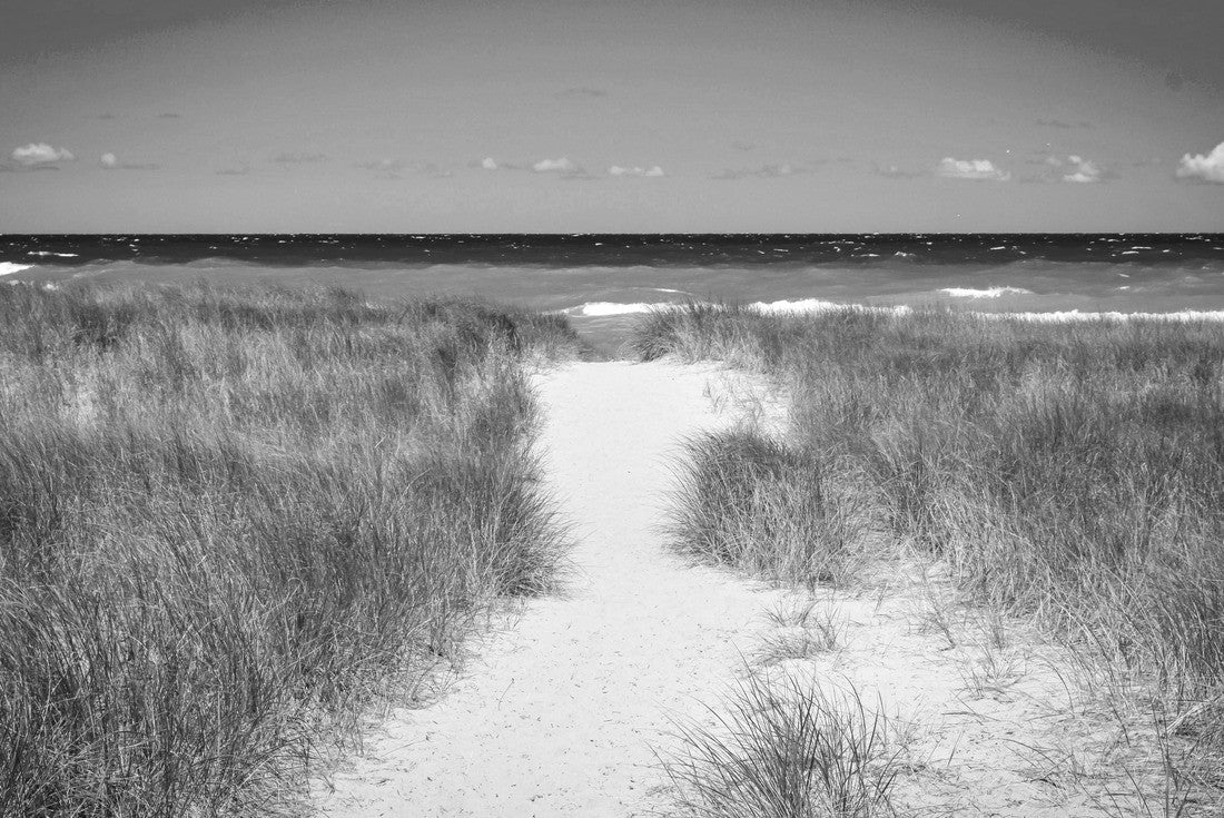 Noah Jigsaw Puzzle Lake Michigan in Indiana Dunes National Park in black white 2000 pieces