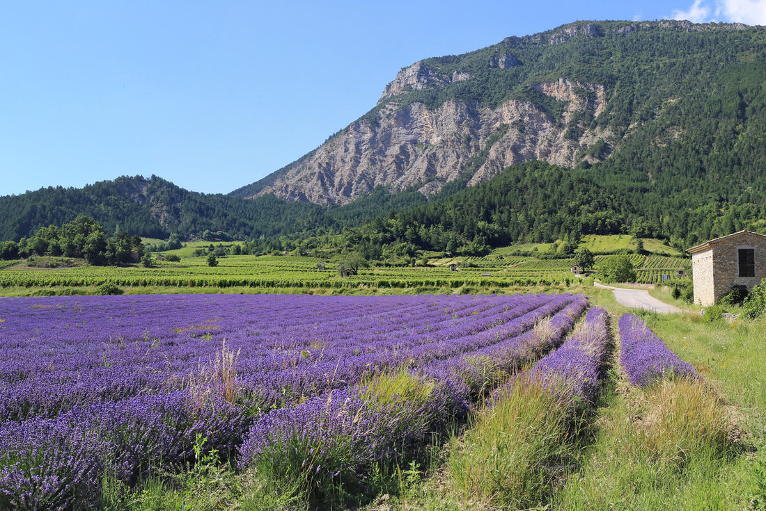 Summer landscape in France 2000pc Puzzle