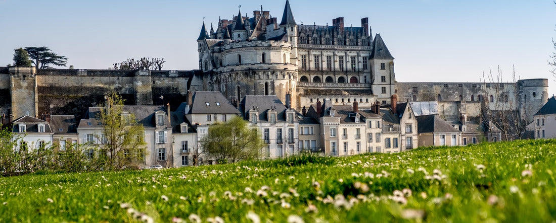 Amboise Castle, France 2000pc Panoramic Puzzle