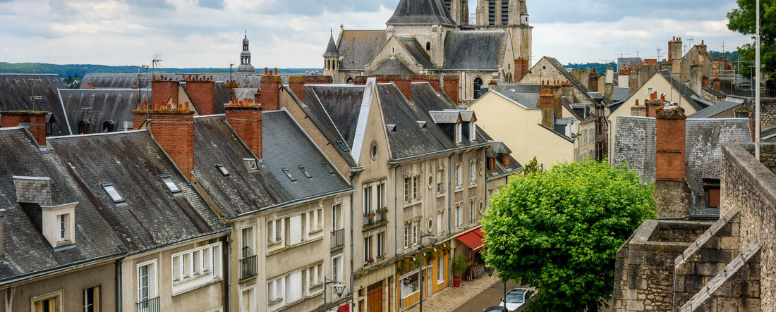Noah Jigsaw Puzzle Blois, France Panorama 2000 Pieces
