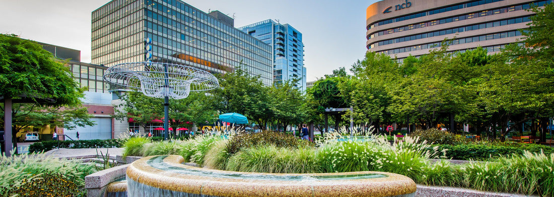 Noah Jigsaw Puzzle Arlington, Virginia, panorama Panorama 1000 Pieces