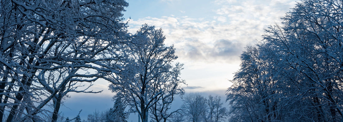 Noah Jigsaw Puzzle Winter in Skövde, Sweden, panorama Panorama 1000 Pieces