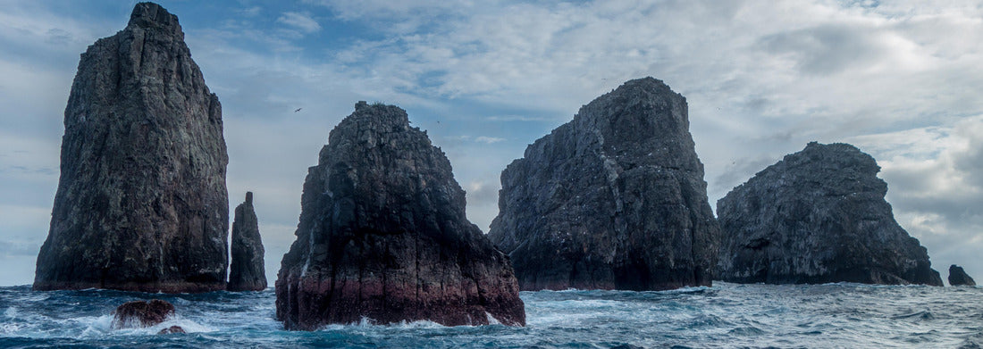 Noah Jigsaw Puzzle Three Musketeers Malepelo Colombia, Panorama Panorama 1000 Pieces