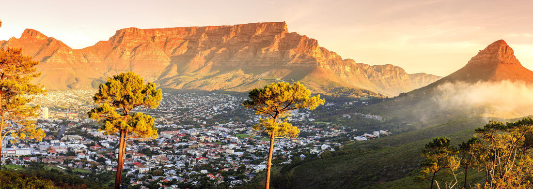 Noah Jigsaw Puzzle Cape Town South Africa, Panorama Panorama 1000 Pieces