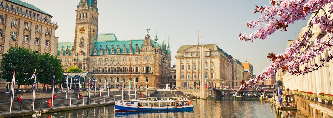 Noah Jigsaw Puzzle Hamburg town hall and Alster lake in spring, Hamburg, Panorama Panorama 1000 Pieces