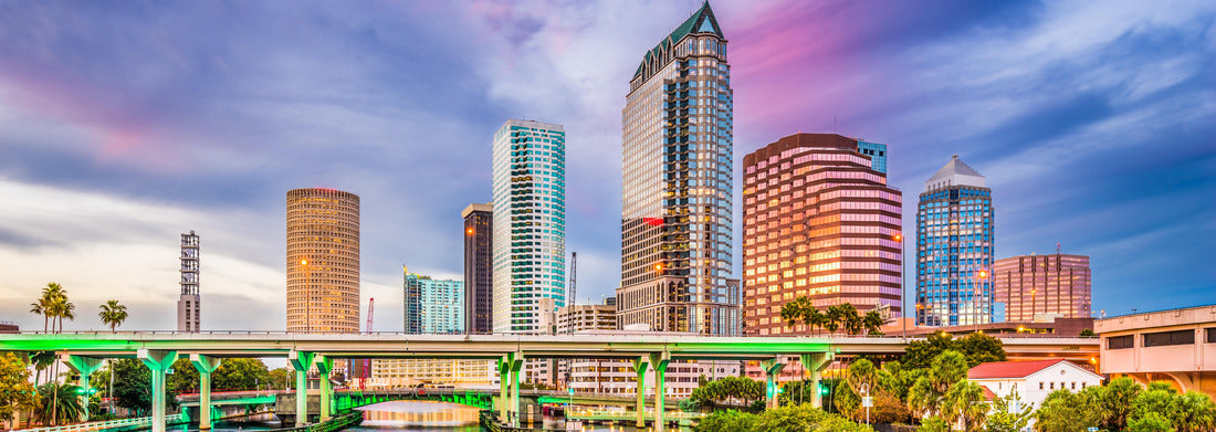 Noah Jigsaw Puzzle Tampa, Florida, Panorama Panorama 1000 Pieces