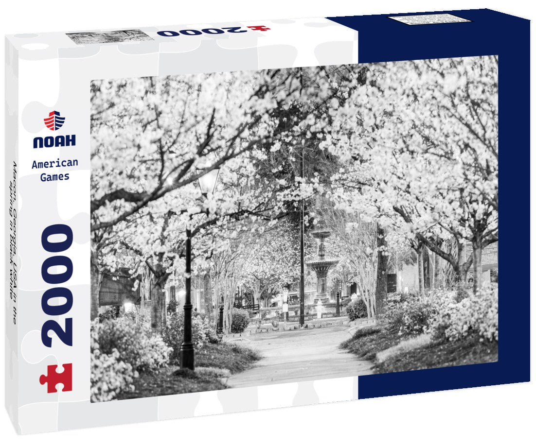 Macon, Georgia, USA in the spring 2000pc PuzzleBlack and White