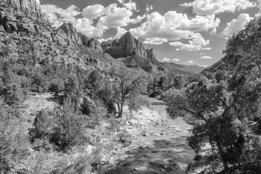 Noah Jigsaw Puzzle View of the Watchman mountain in Zion National park and the virgin river, Utah in black white 2000 pieces