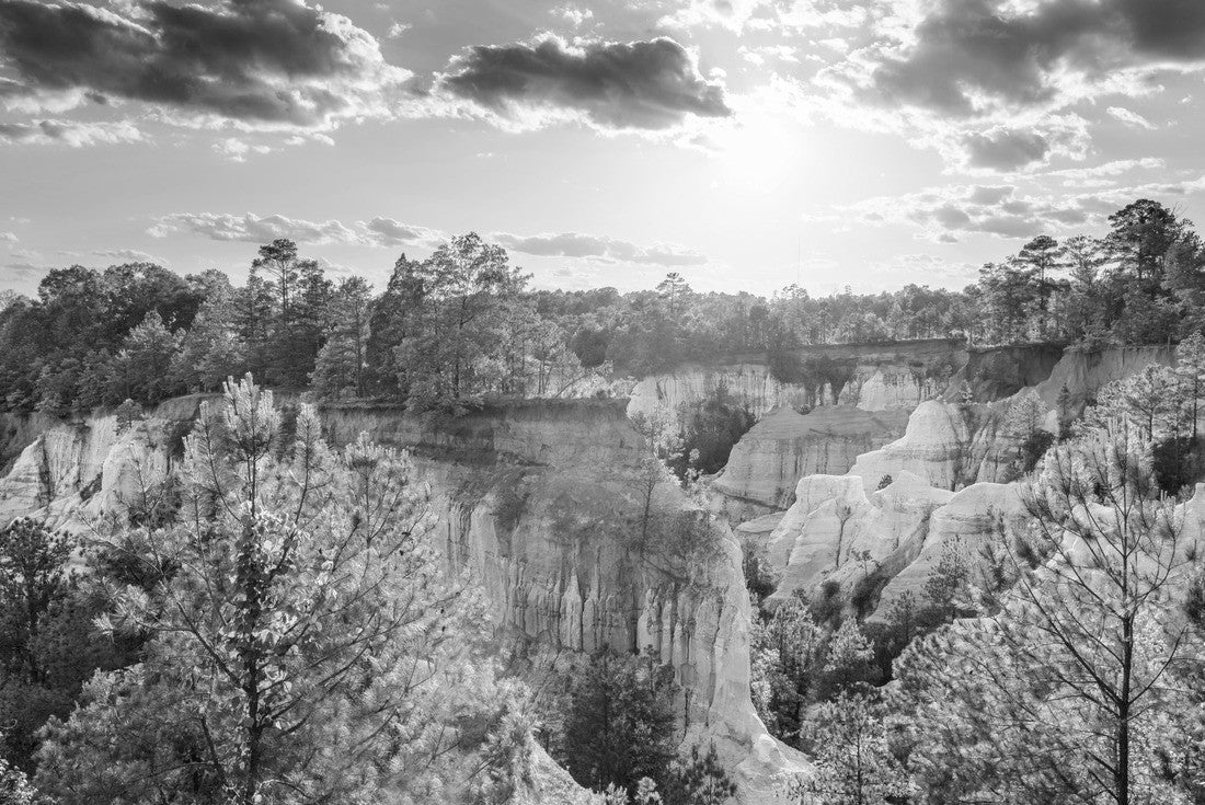 Providence Canyon in southwest Georgia, USA 2000pc PuzzleBlack and White
