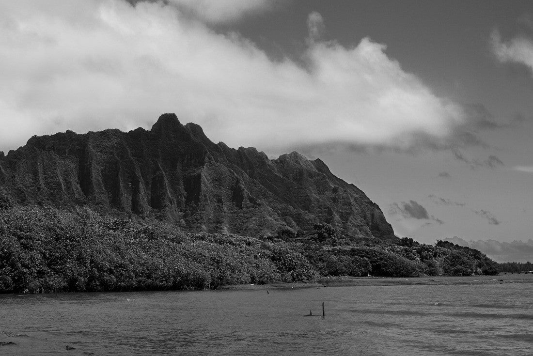 Noah Jigsaw Puzzle View of Kahana parc from Kahaluu beach in black white 2000 pieces