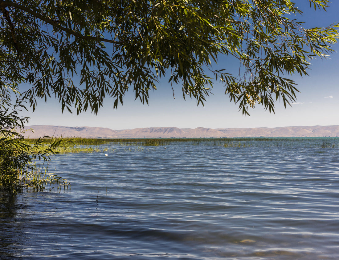 Noah Jigsaw Puzzle Bear Lake County, Idaho, United States. The Bear Lake near Fish Haven 1000 Pieces