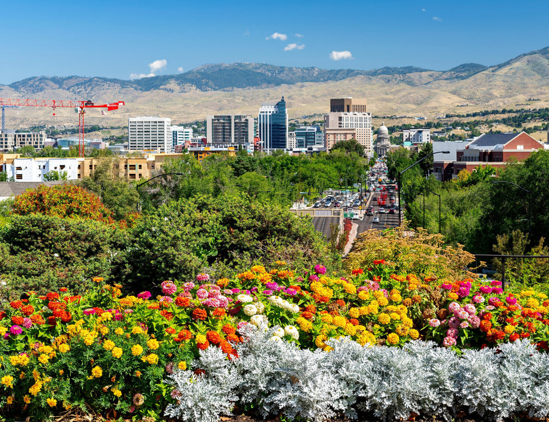Noah Jigsaw Puzzle Boise Idaho skyline with colorful flowers in the foreground 1000 Pieces