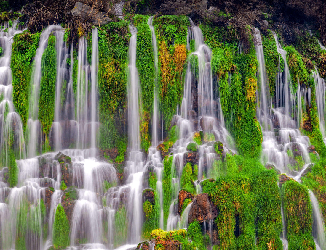 Noah Jigsaw Puzzle Hagerman valley Idaho waterfall thousand springs 1000 Pieces