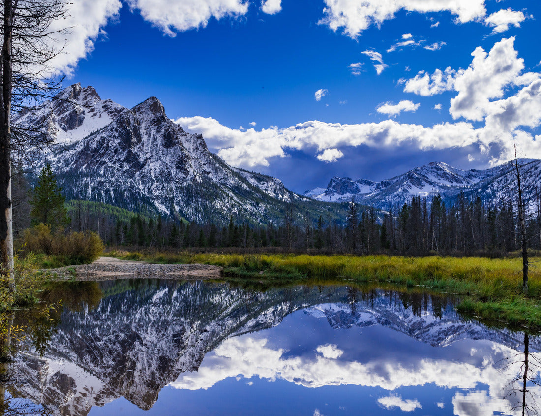 Noah Jigsaw Puzzle McGown Peak near Stanly Idaho reflected in a pond located in a wetland area near Stanley Lake 1000 Pieces