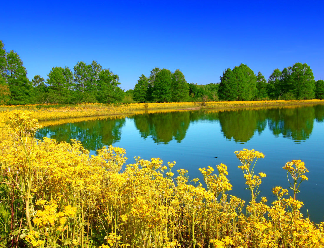 Noah Jigsaw Puzzle Lake Carlyle Eldon Hazlet State Park Illinois 1000 Pieces