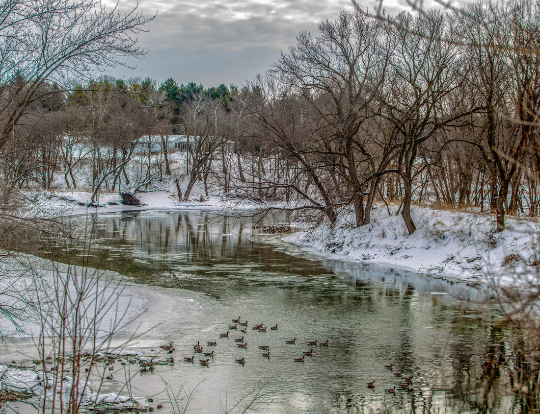 Noah Jigsaw Puzzle Cedar River in Waverly, Iowa during the polar vortex 1000 Pieces