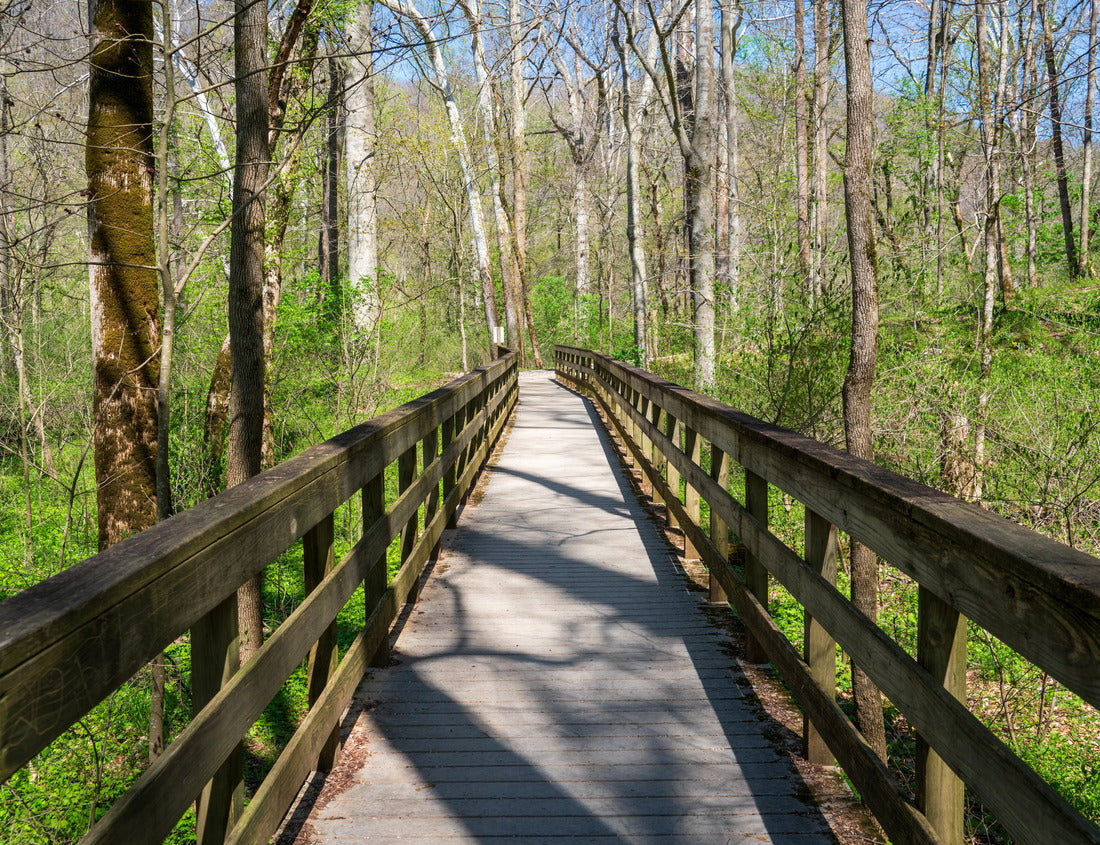 Noah Jigsaw Puzzle Mammoth Cave National Park in Kentucky 1000 Pieces