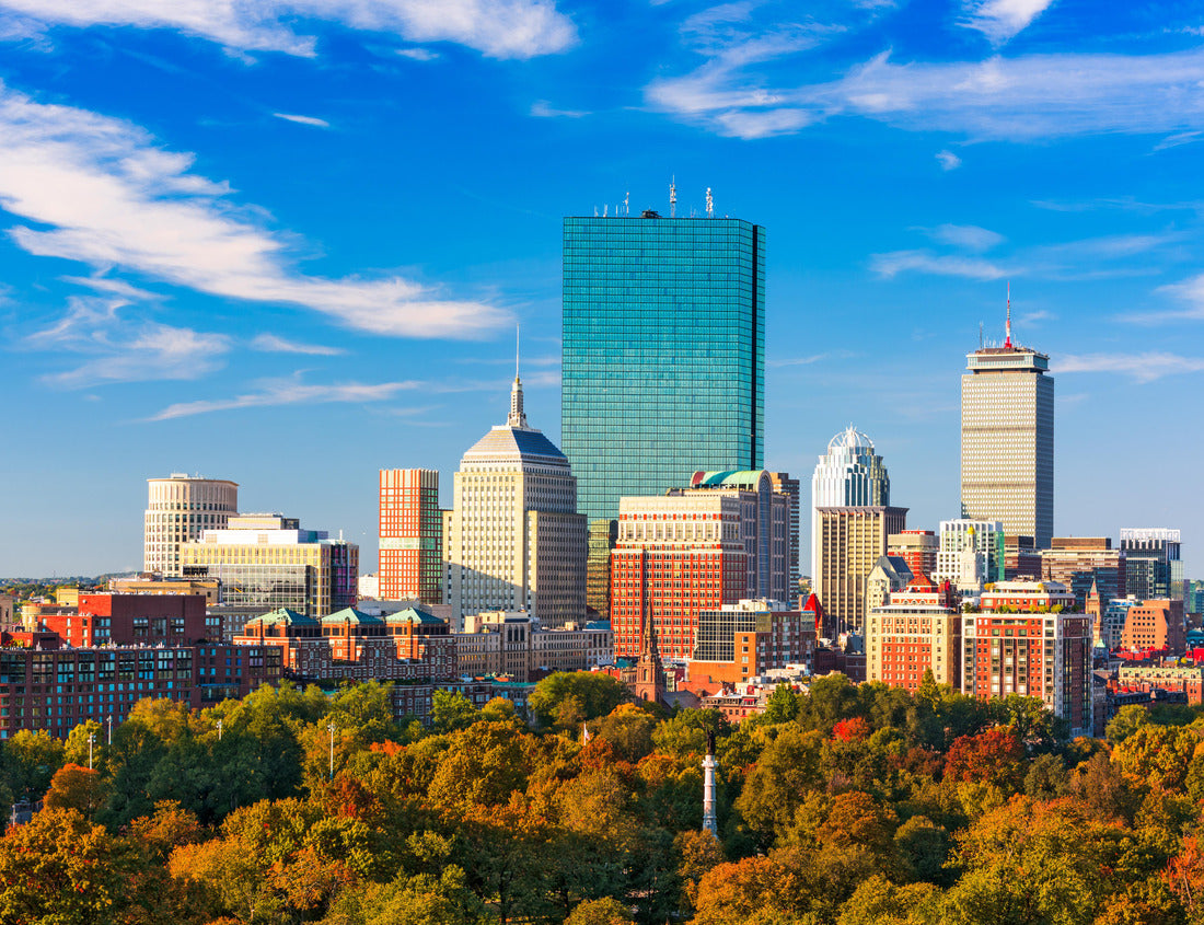 Noah Jigsaw Puzzle Boston, Massachusetts, USA Skyline over Boston Common 1000 Pieces