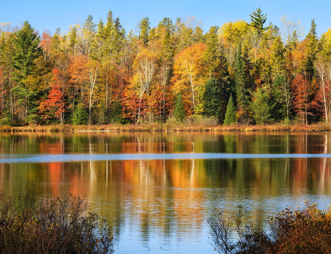 Noah Jigsaw Puzzle Fall colors reflected in an upper Michigan lake, Hiawatha National Forest near Munising 1000 Pieces