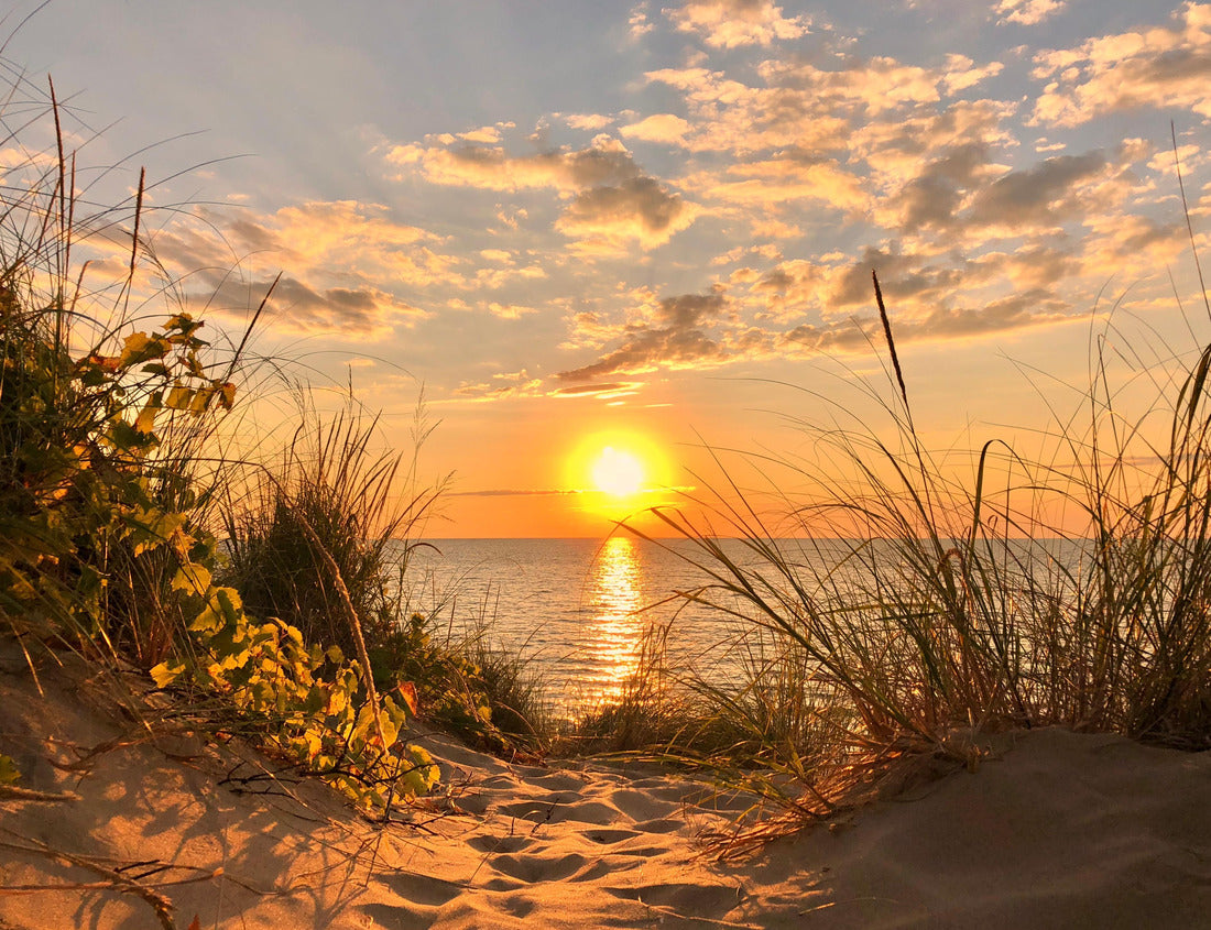Noah Jigsaw Puzzle Lake Michigan Sunset 1000 Pieces