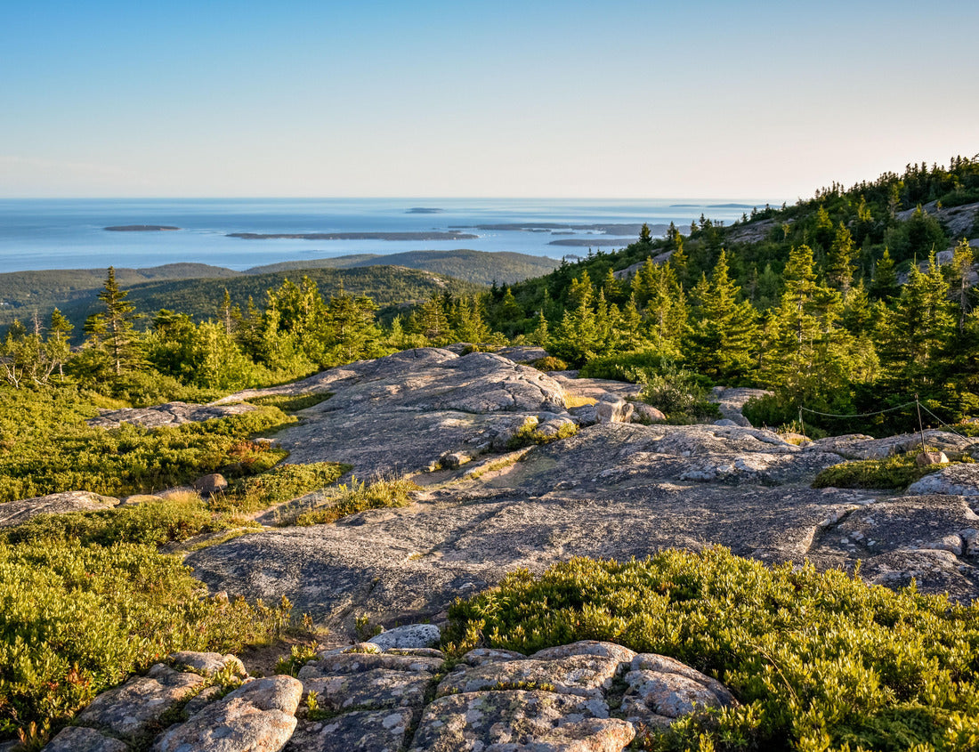 Noah Jigsaw Puzzle Cadillac mountain Acadia National park 1000 Pieces