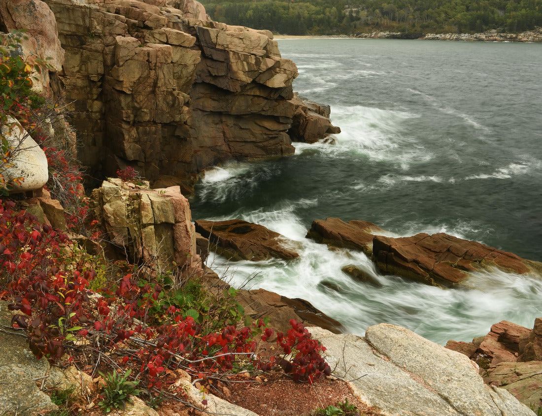 Noah Jigsaw Puzzle View of the rocky coast of the Atlantic Ocean. USA. Maine Acadia National Park 1000 Pieces
