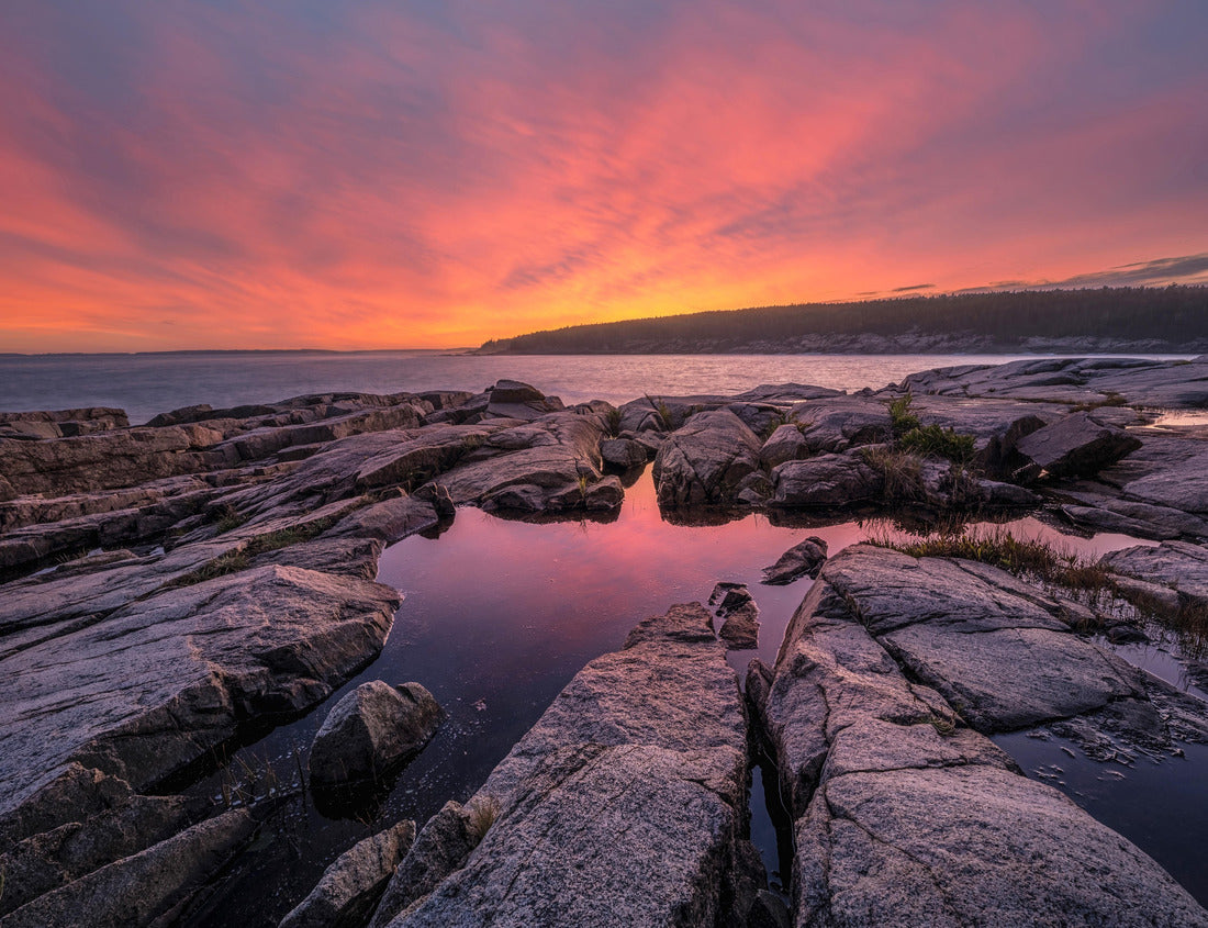 Noah Jigsaw Puzzle Rock tide pools sunset along the ocean trail in Acadia National Park Maine 1000 Pieces